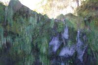 Beside a Welsh waterfall