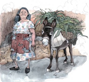 Woman And Her Donkey