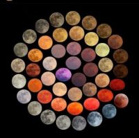 Ten years in the making to capture these 48 different shades of the moon by artist, Marcella Pace