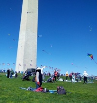 Kite Festival--Saved for a Grey Day