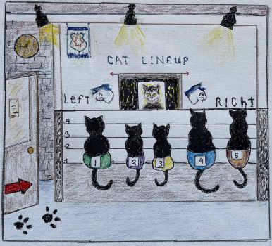 Cat Line up