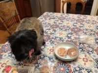 Naughty Stanley Loves Honey Buns