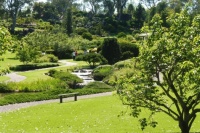 Cowra Japanese Gardens, New South Wales (66)