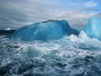 antarctica_penguins_ice_ocean