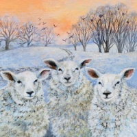 Seasonal Art - Winter Animals - Sheep (9 - 196 Pieces)