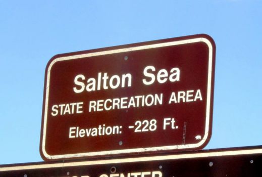 Welcome to the Salton