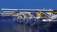 Seaplanes Docked in Seattle, Washington