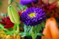 Fall bouquet