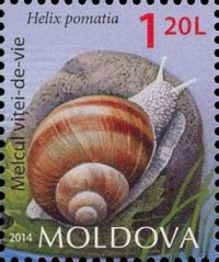 Moldovan snail stamp 2