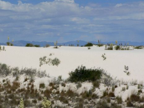 White Sands Nat. Monument, New Mexico, USA