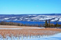 Seneca Lake, NY
