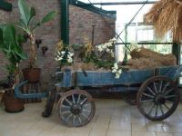 Orchideeenhoeve