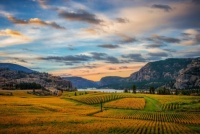Sunrise on the idyllic scenery of Blue Mountain Estates in the South Okanagan of British Columbia, Canada
