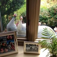 Can we come in.......