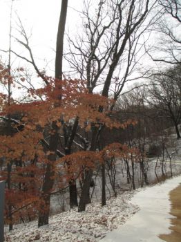 Photo from friend -4