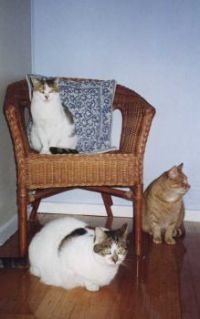 Waiting for dinner