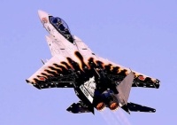 F-15 of the Japanese Air Self Defense Force, in another wild paint scheme.