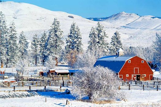 Themes: Big Barn In Winter