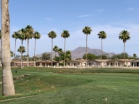 Golfing in AZ