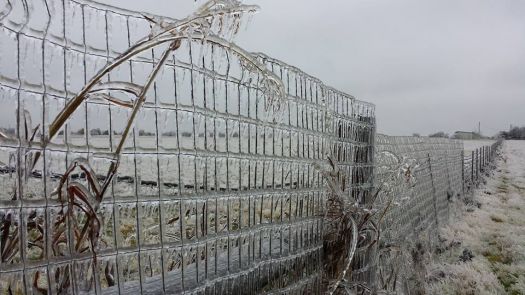 Texas Ice Storm, December 2013