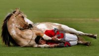 Indian Horse Training