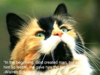 In the beginning, God created man, but set him so feeble, He gave him the cat.