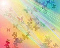 Butterflies Rainbow