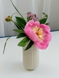 🌿🌸 Small bouquets 🌸🌿