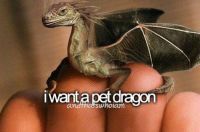 pet dragon