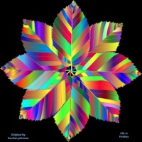 Circle of colorful leaves