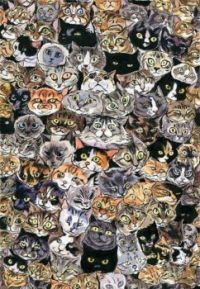 Cats