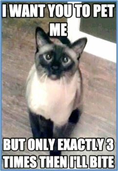 Solve Don T Say I Didn T Warn You Jigsaw Puzzle Online With 35 Pieces