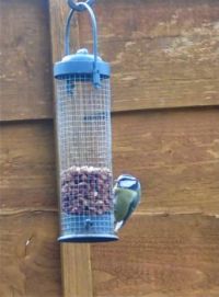 Soon for more peanuts.