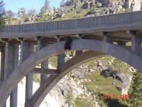 Grizzly trapped on Bridge