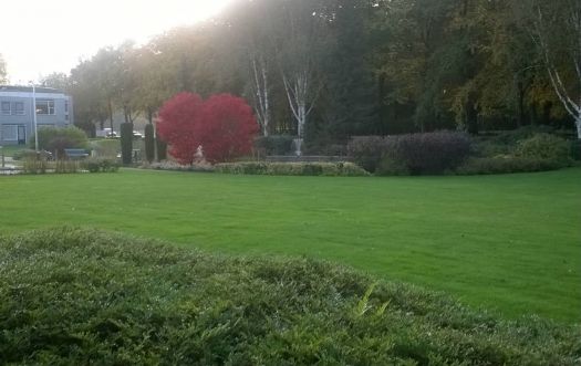 tuin herfst