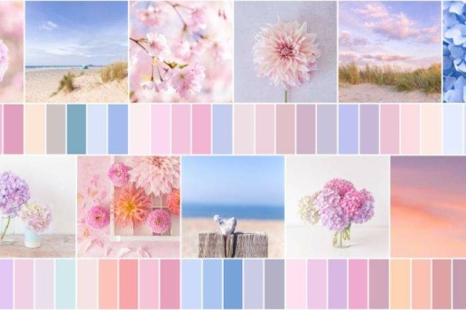 palette de couleurs bleu pastel