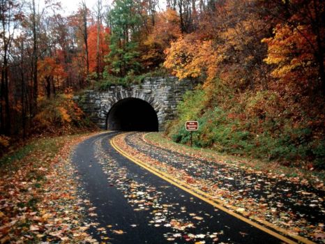 Blue Ridge Parkway - Fall