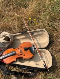 Violin in meadow