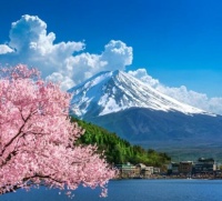 Springtime in Japan