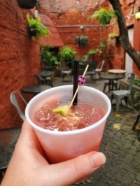 Delicious Cocktail from the Vampire Speakeasy