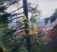 IMG_20220614_Panther Mt, N.Y.  "Divided"
