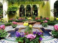 Beautiful flowers