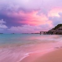 Brad Griffin's horseshoe bay