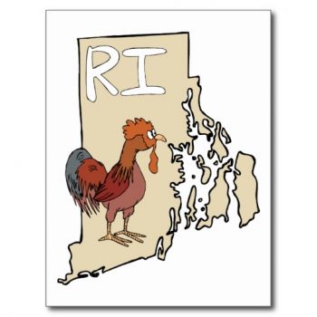 state bird Rhode Island Red