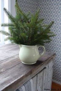 Milk Jug