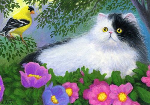 Persian cat and goldfinch bird