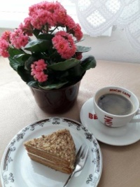 odpolední kafíčko, Afternoon coffee and walnut cake with honey