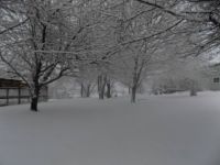 late spring snow