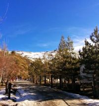 sierra-nevada-5