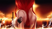 fairy tail (1)